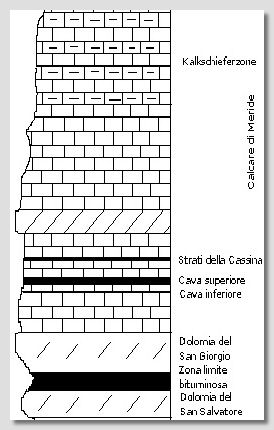 colonna stratigrafica 