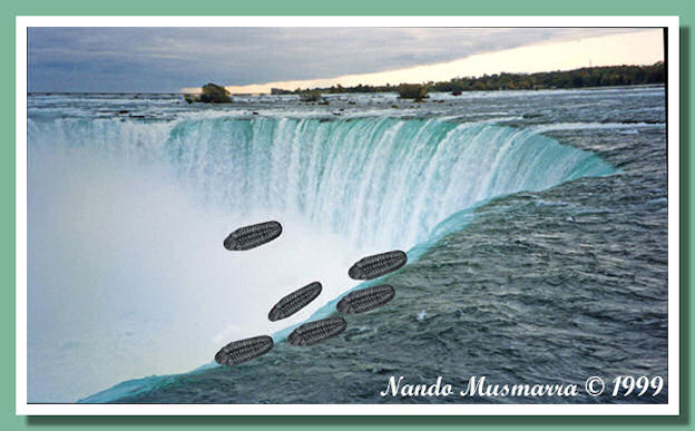 Niagara falls and trilobites