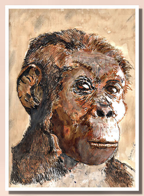 Australopithecus - Cuzzilla -  Nando Musmarra Website