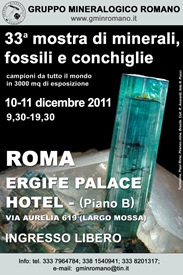 Ergife Roma 2011 manifesto